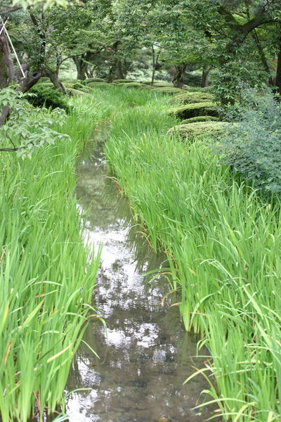 兼六園到處是曲水。