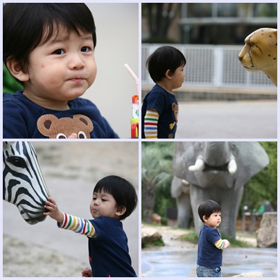 另類動物園。