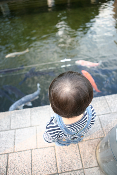 綠洲公園的魚真的好大！