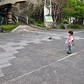 20100419 最近只能到旁邊神社餵鳥兼蹓躂。