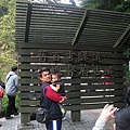 ALIM3477.JPG