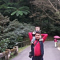 ALIM3489.JPG