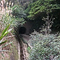 ALIM3480.JPG