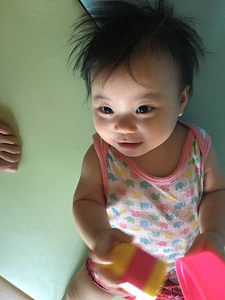 IMG_0081.JPG IMG_0081.JPG