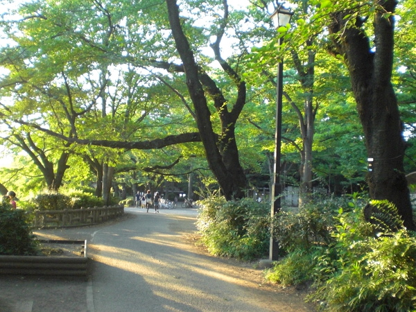 公園03.JPG