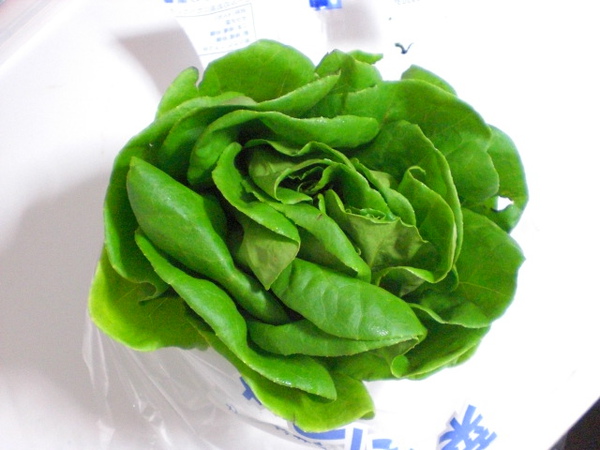 沙律菜-10円.JPG