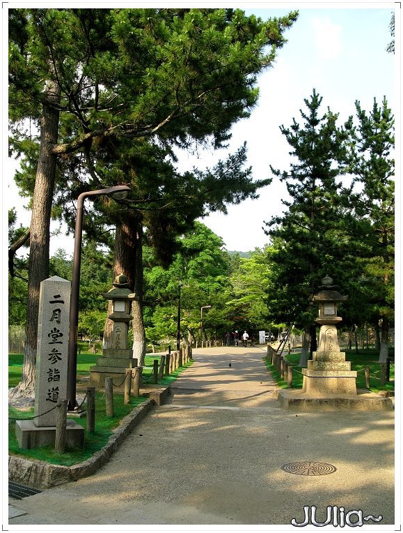 （古奈良的歷史遺跡）東大寺 (26).jpg