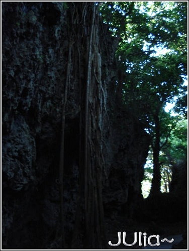 森林 (3).jpg 森林 (3).jpg