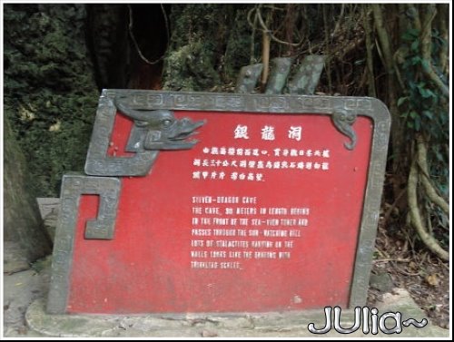 森林 (5).jpg 森林 (5).jpg