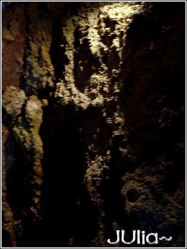 森林 (8).jpg 森林 (8).jpg