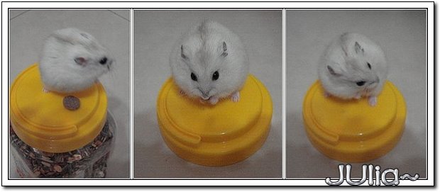 070120YOYO.jpg 070120YOYO.jpg