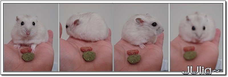 070120YOYO (2).jpg 070120YOYO (2).jpg