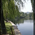 中國的湖就是要配垂柳