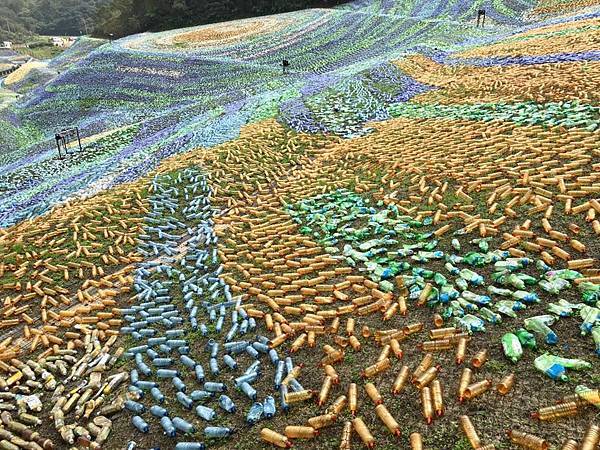 12802853_1269774903049476_4237329410108705023_n