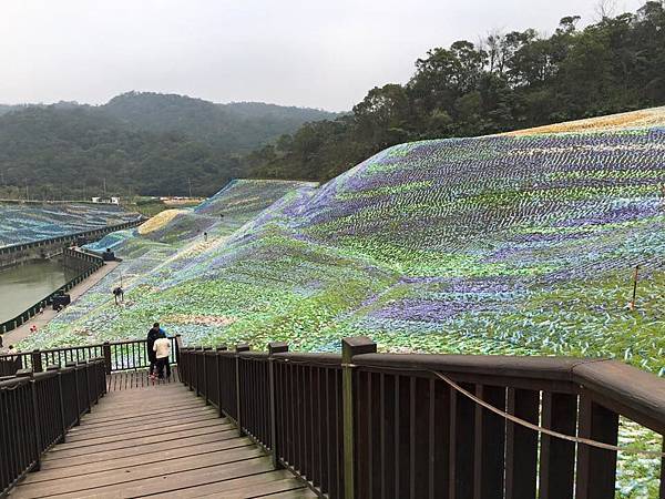 12805734_1269774866382813_2490557421171936689_n