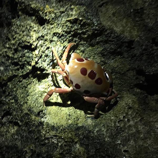 13895016_1407964165897215_840925063916483244_n.jpg 13895016_1407964165897215_840925063916483244_n.jpg