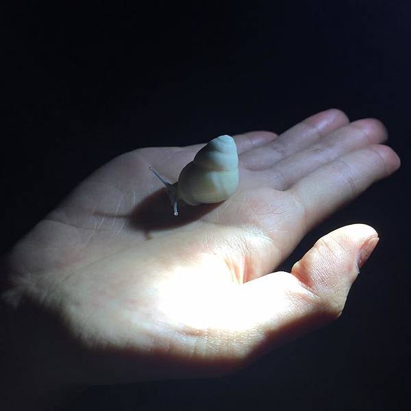 13895099_1407963942563904_1219965491491645684_n.jpg 13895099_1407963942563904_1219965491491645684_n.jpg