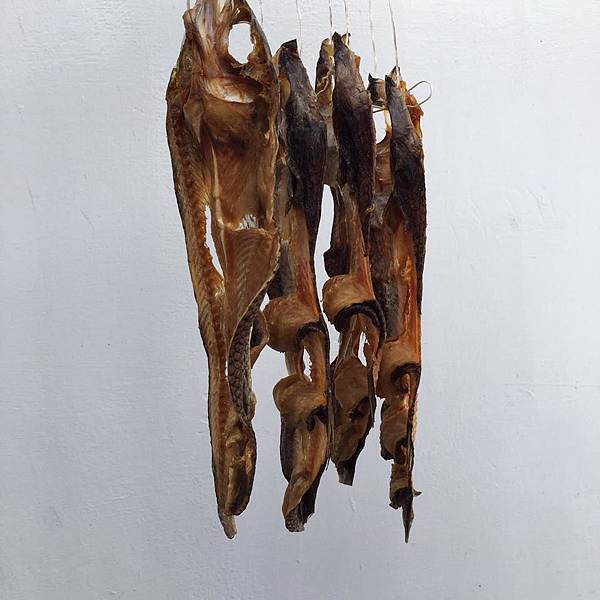 13924937_1407963922563906_6533222780558469240_n.jpg 13924937_1407963922563906_6533222780558469240_n.jpg