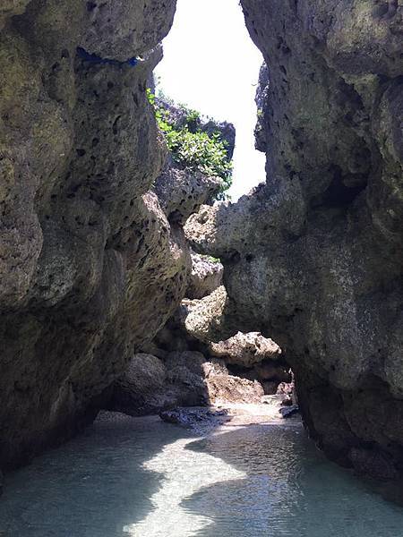 13925354_1407964122563886_3339540957351355197_n.jpg 13925354_1407964122563886_3339540957351355197_n.jpg