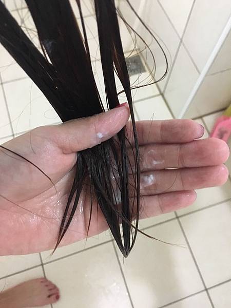 S__12845101.jpg S__12845101.jpg