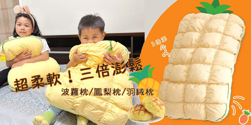 菠蘿枕頭/鳳梨枕頭，最可愛的羽絨枕你買了沒！網路近萬分好評賣