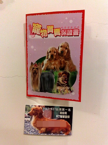 201009041840.jpg