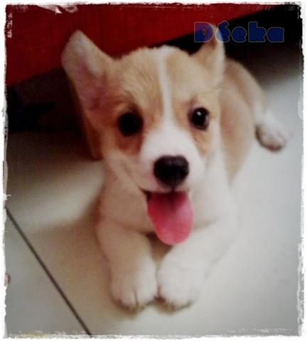 201009131882.jpg