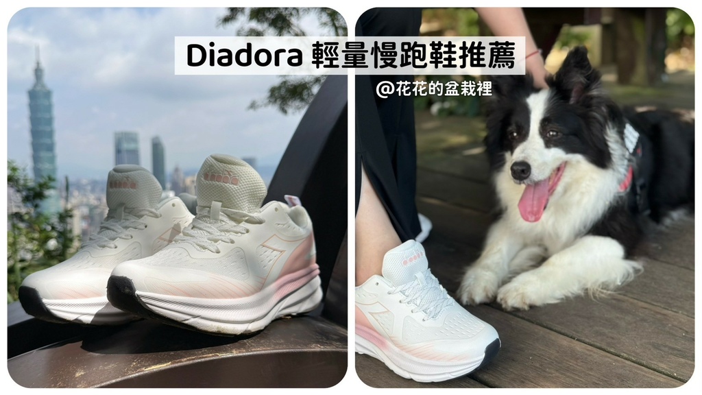 【球鞋推薦】Diadora跑鞋評價——終於遇到穿去重訓、有氧