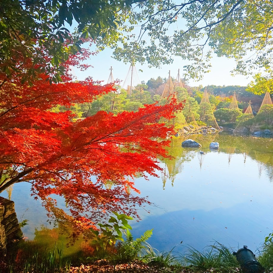 [心得] 在日本搭計程車的一些心得