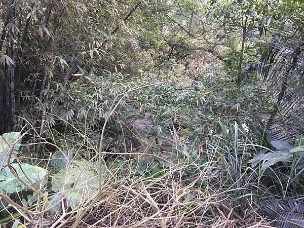 17903990_10154146523651706_6637126963835823341_n.jpg 17903990_10154146523651706_6637126963835823341_n.jpg