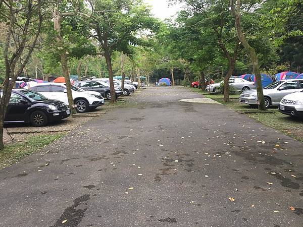 17903982_10154144065301706_6512369195639735933_n.jpg 17903982_10154144065301706_6512369195639735933_n.jpg