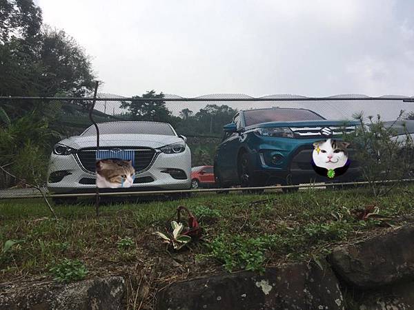 21686061_10154565972346706_3408401062933833270_n.jpg 21686061_10154565972346706_3408401062933833270_n.jpg