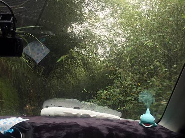 21687556_10154565657466706_1493670274597214297_n.jpg 21687556_10154565657466706_1493670274597214297_n.jpg