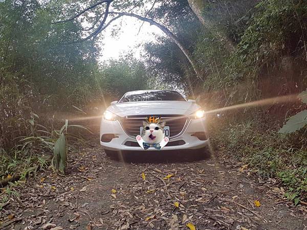 21768249_10154565966411706_7121088386032480220_n.jpg 21768249_10154565966411706_7121088386032480220_n.jpg