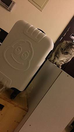 566746381.255919.jpg 566746381.255919.jpg