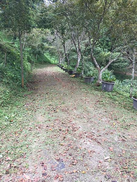 42369943_10155346490976706_3849454895346221056_n.jpg 42369943_10155346490976706_3849454895346221056_n.jpg