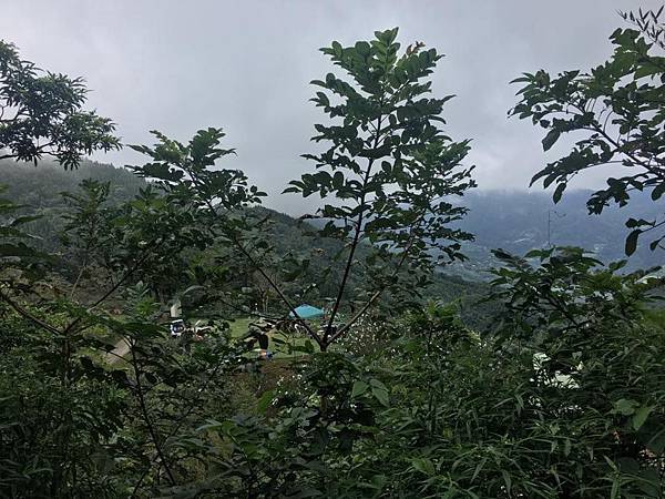 42389555_10155346490921706_1291473640587526144_n.jpg 42389555_10155346490921706_1291473640587526144_n.jpg