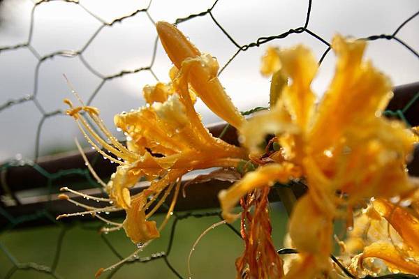 42470058_10155346485301706_7087721977237995520_n.jpg 42470058_10155346485301706_7087721977237995520_n.jpg