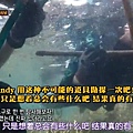 沙巴_078_發現海膽ANDY說.jpg