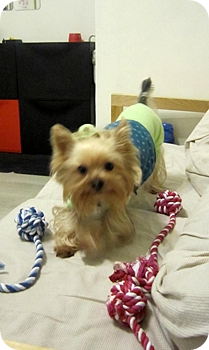 20100206D.JPG 20100206D.JPG