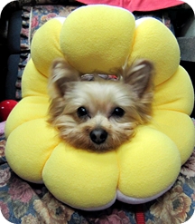 20100213A.JPG 20100213A.JPG