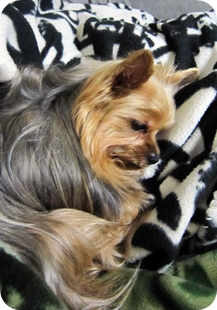 20100213C.JPG 20100213C.JPG