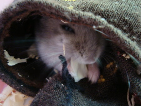 DSC01747.JPG
