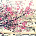 20120214.jpg