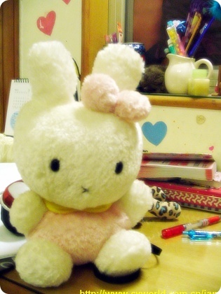 訾琳戈送我的miffy兔子。。