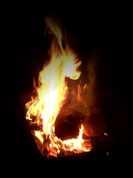 拿木頭燒成木炭來烤