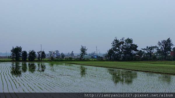 2-35.JPG 2-35.JPG