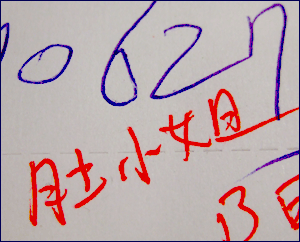 【隨便聊】杜小姐 【隨便聊】杜小姐