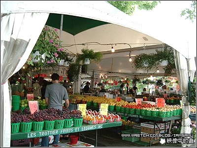 【遊學隨便記】Saint-Joseph大教堂