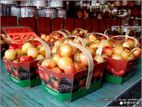 【遊學隨便記】Saint-Joseph大教堂